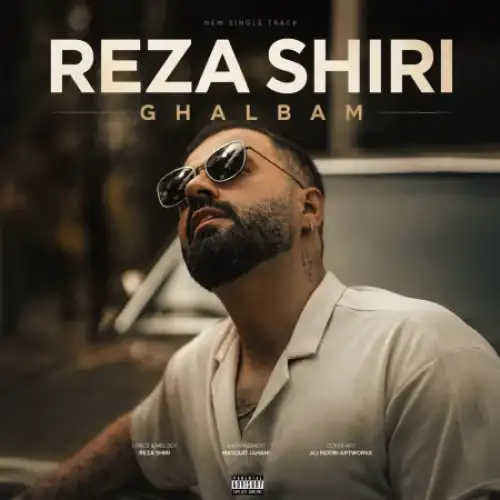 قلبم